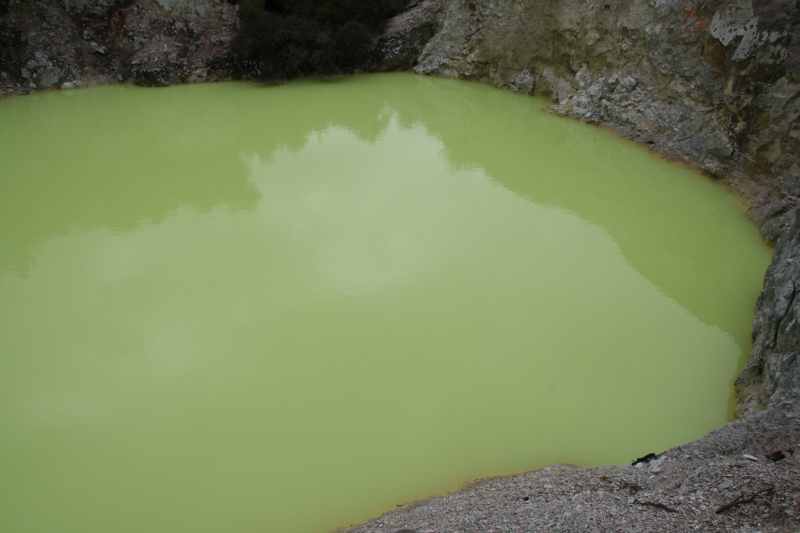 Nieuw-Zeeland 2011 - 0793